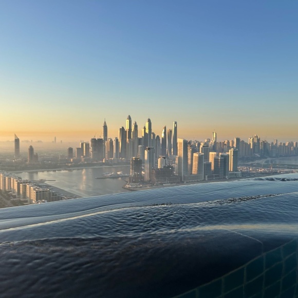 Meet your Posher, Effie - Picture 1 of 1